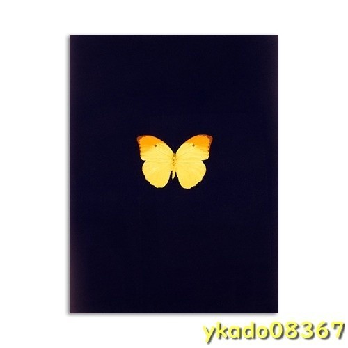 P1650: 現代 カラフルな蝶 標本 キャンバス絵画 壁アート 画像 家の装飾 ポスタープリント リビングルーム_2