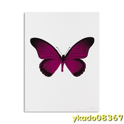 P1650: 現代 カラフルな蝶 標本 キャンバス絵画 壁アート 画像 家の装飾 ポスタープリント リビングルーム_1