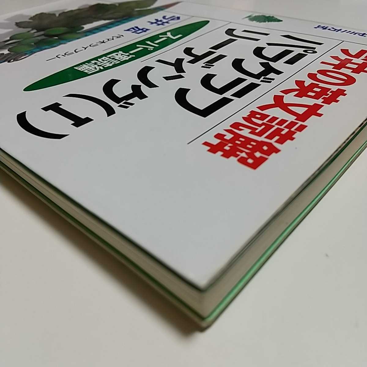 今井の英文読解 パラグラフリーディング1 スーパー速読編 今井宏 代々木ゼミ方式 代々木ライブラリー 中古 東進