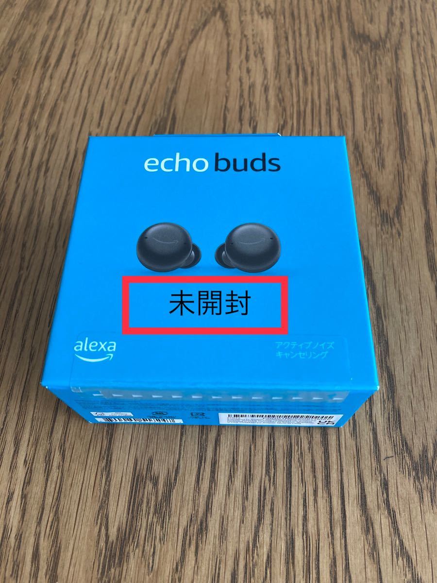  echo buds 第2世代 ノイズキャンセリングイヤホン