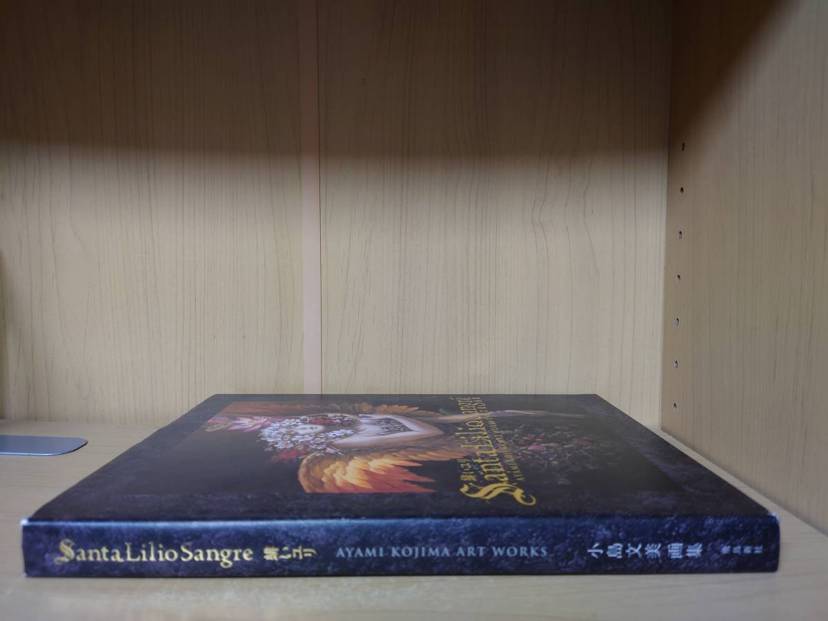 送料無料】希少本! 緋いユリ小島文美画集飛鳥新社悪魔城 送料無料】希少本! 緋いユリ小島文美画集飛鳥新社悪魔城