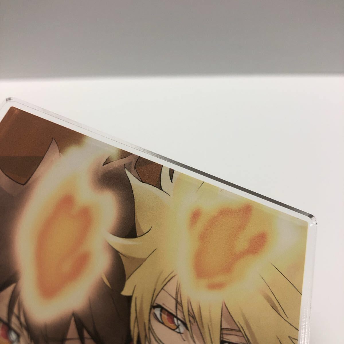 家庭教師ヒットマン REBORN 沢田綱吉 プリーモ アクリルスタンド