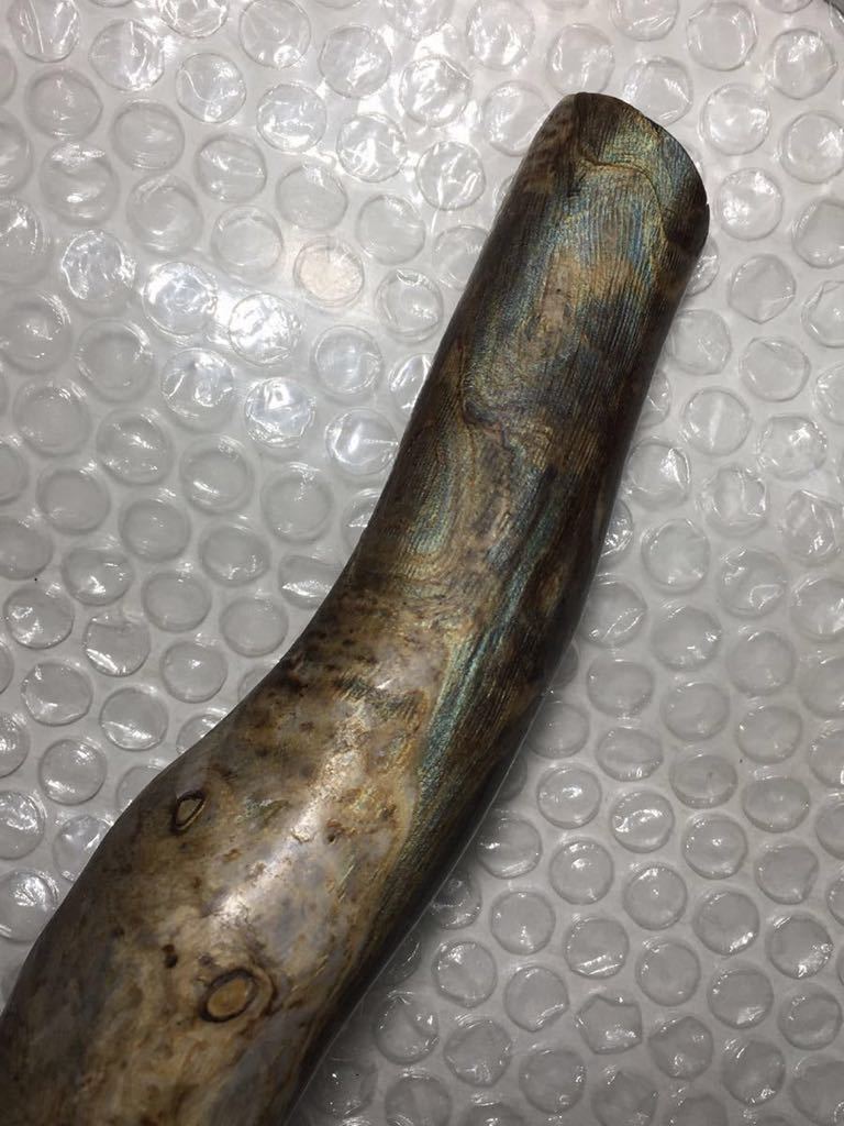深海松 重さ約767g 検索)ウミマツ 海松 ふかみる サンゴ レインボー