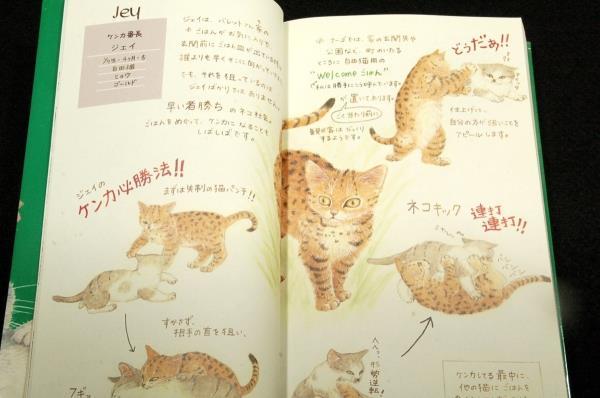  распроданный #mo- Lee чертополох .[na-go. . кошка ..] в любое время везде кошка блок история # Япония радиовещание выпускать ассоциация / наклейка есть # после рождения 3 месяцев и меньше . кошка центр 