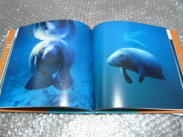  иностранная книга *mana чай [ фотоальбом ]* море .. сырой животное человек рыба легенда * редкий документ 