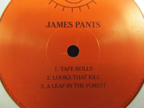 James Pants ： Cosmic Rapp Egyptian Lover Remix 12'' // エレクトロ / 5点で送料無料_画像3