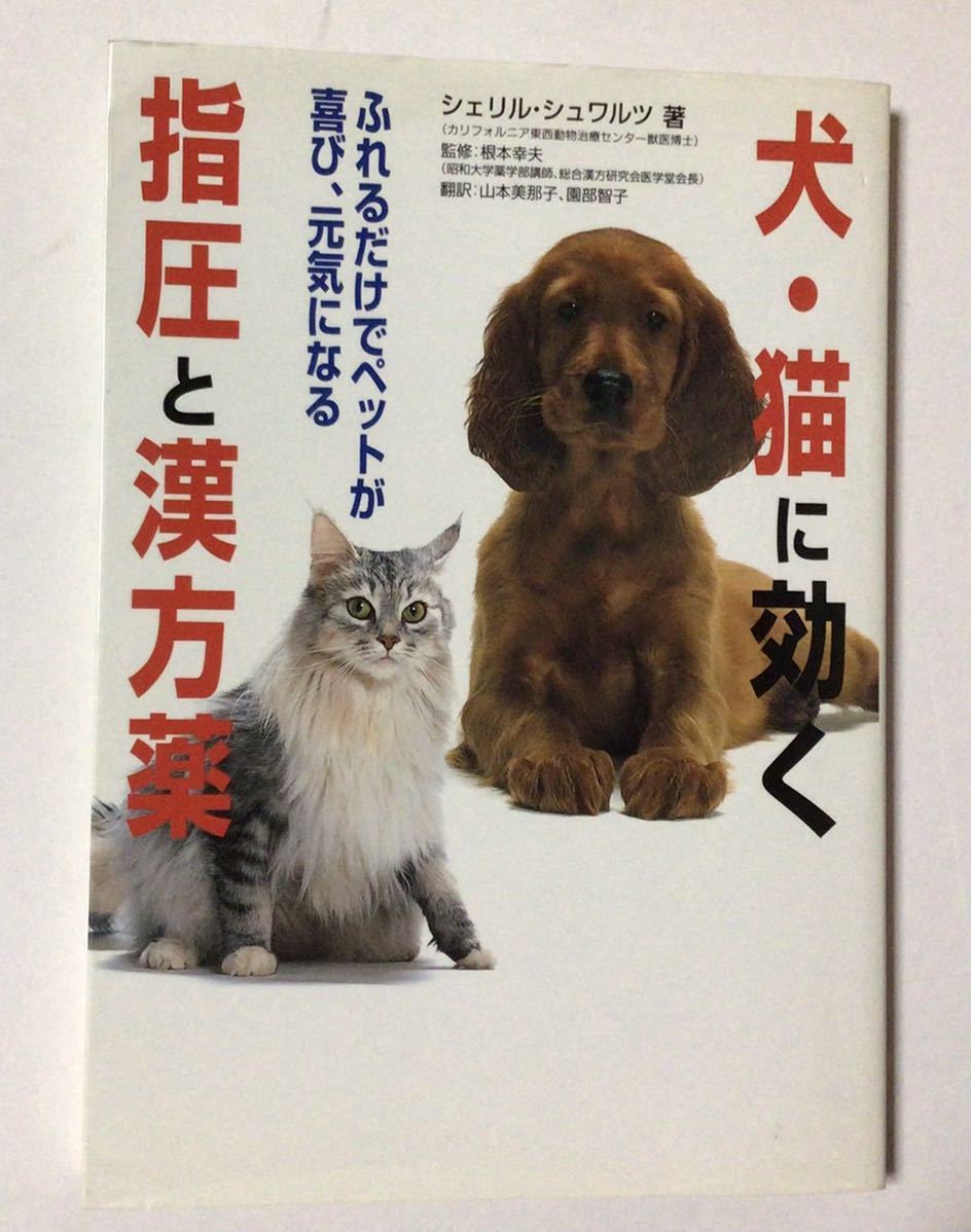  собака * кошка . быть эффективным шиацу . китайское лекарство лекарство 
