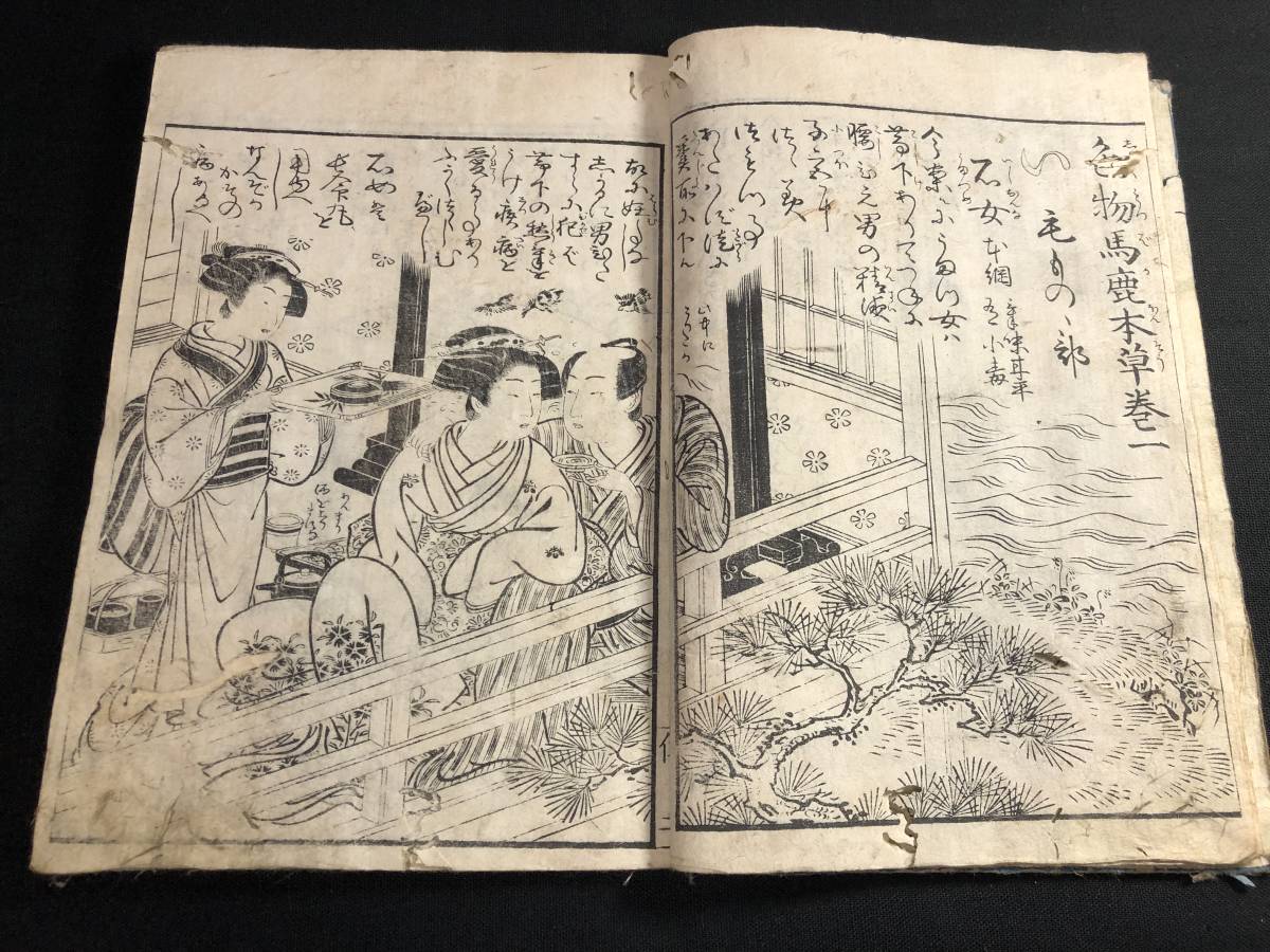 t224春画 春本 艶本 絵入□色物馬鹿本草□ 磯田湖 t224春画 春本 艶本 絵入□色物馬鹿本草□ 磯田湖