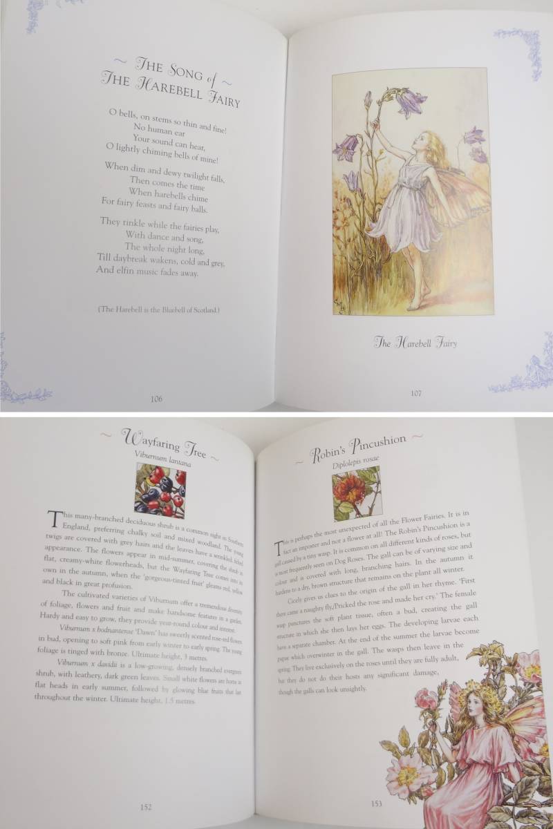 【英語】フラワーフェアリーズデラックスブック 妖精の詩と花図鑑★A Deluxe Book of Flower Fairies★Cicely Mary Barker★洋書［5］_画像5