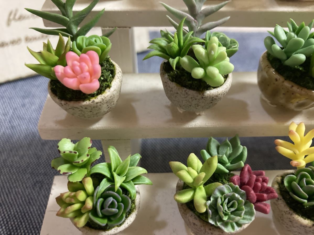 在庫処分 多肉植物 ミニ鉢花 樹脂粘土 ハンドメイド ミニチュア シルバニア 完成品 売買されたオークション情報 Yahooの商品情報をアーカイブ公開 オークファン Aucfan Com 在庫処分 多肉植物 ミニ鉢花 樹脂粘土 ハンドメイド ミニチュア シルバニア 完成品 売買されたオークション情報 Yahooの商品情報をアーカイブ公開 オークファン Aucfan Com