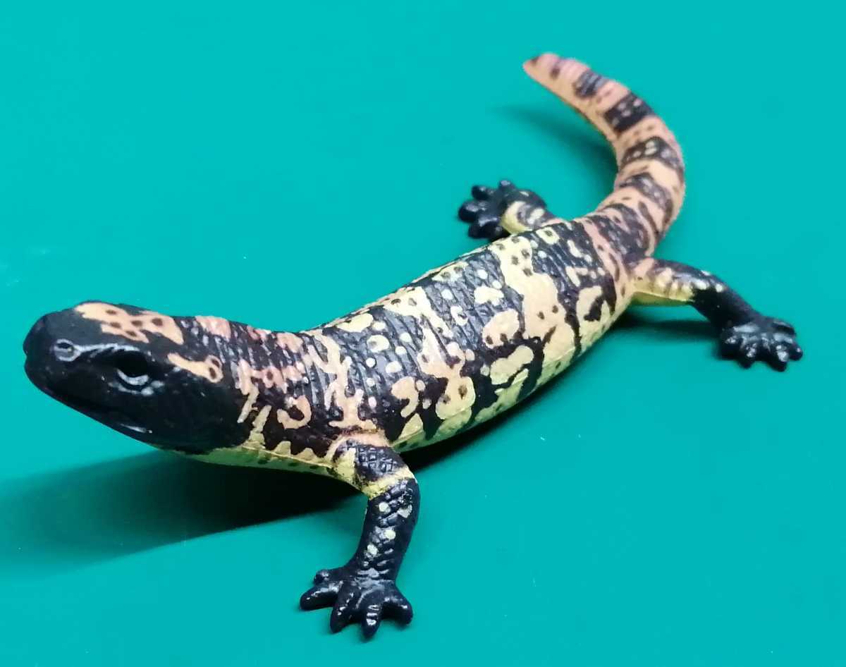高評価 ⑨ 動物コレクション ニューカレドニア 爬虫類;とかげ 1種完