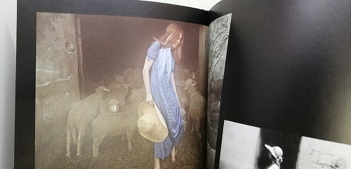 新品 世界限定600冊 直筆サイン THE ART OF DAVID HAMILTON デビッド