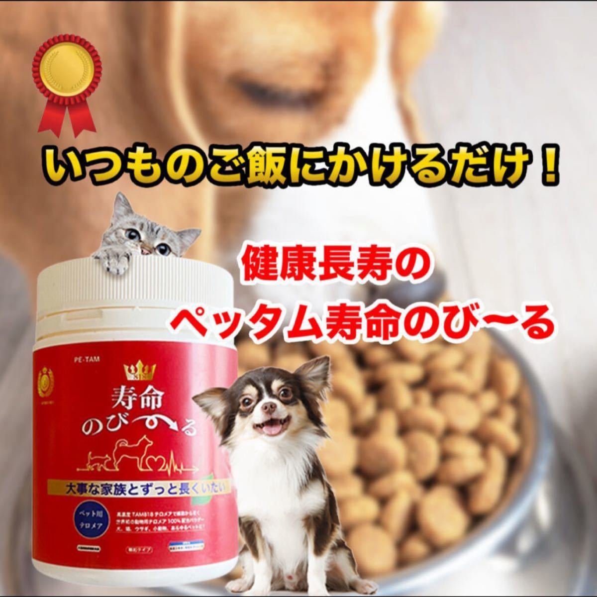ペッタム寿命のび〜る70g × 4 prorecognition.co