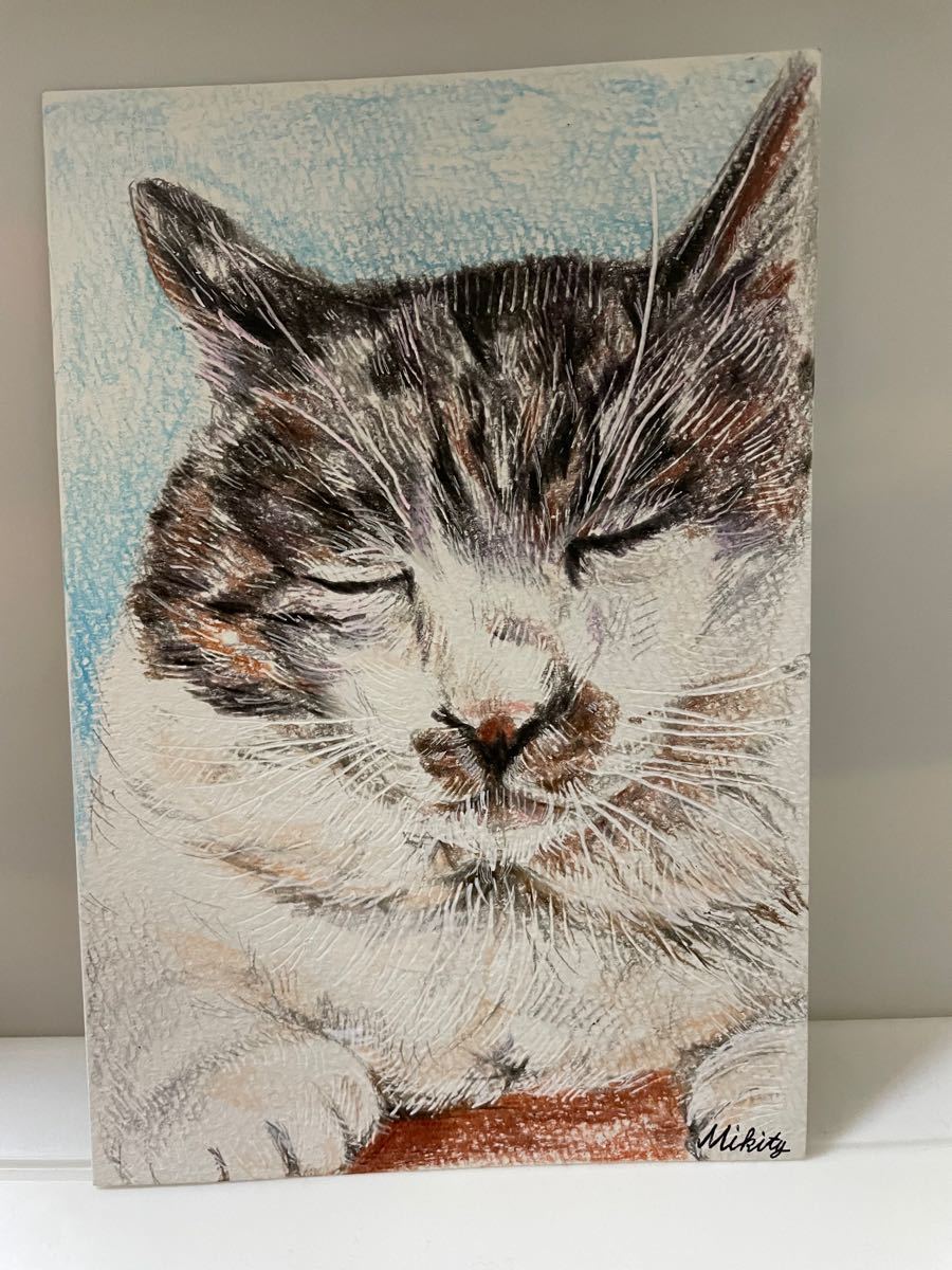 Paypayフリマ 色鉛筆画 ポストカード 絵葉書 ネコ 猫 ねこ 手書きイラスト 一点物 原画 絵画