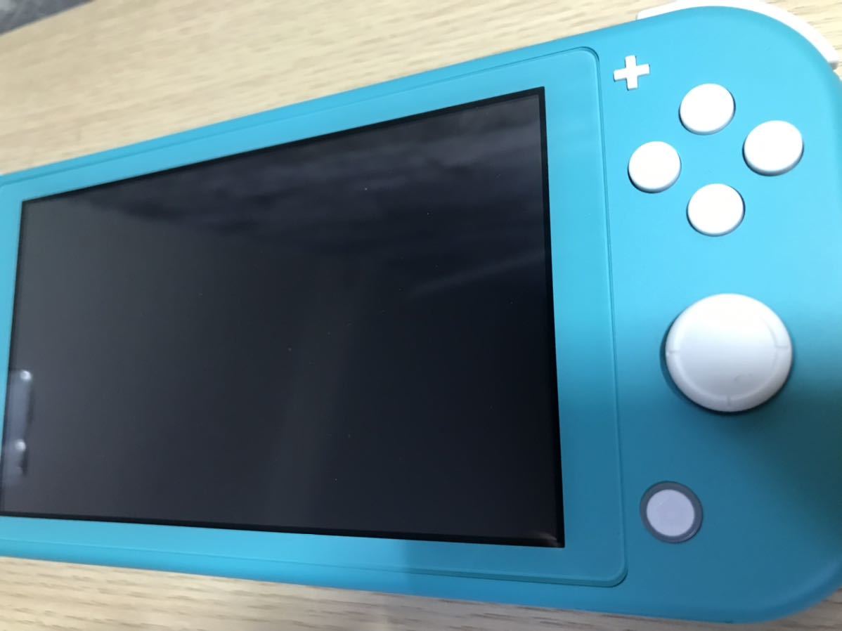 Nintendo Switch ニンテンドー スイッチライト本体 動作確認済み 美品