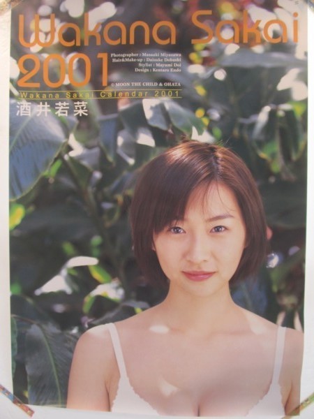 限定数のみ ルノー 2001カレンダー 世界版 | ammarshoping.com