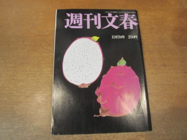 2104YS ●週刊文春 1991平成3.11.7●タチアナ・パティッツ/カン・スヨン/高橋かおり/西洋の貌 今世紀の巨人/紀子様 主治医単独インタビュー_画像1