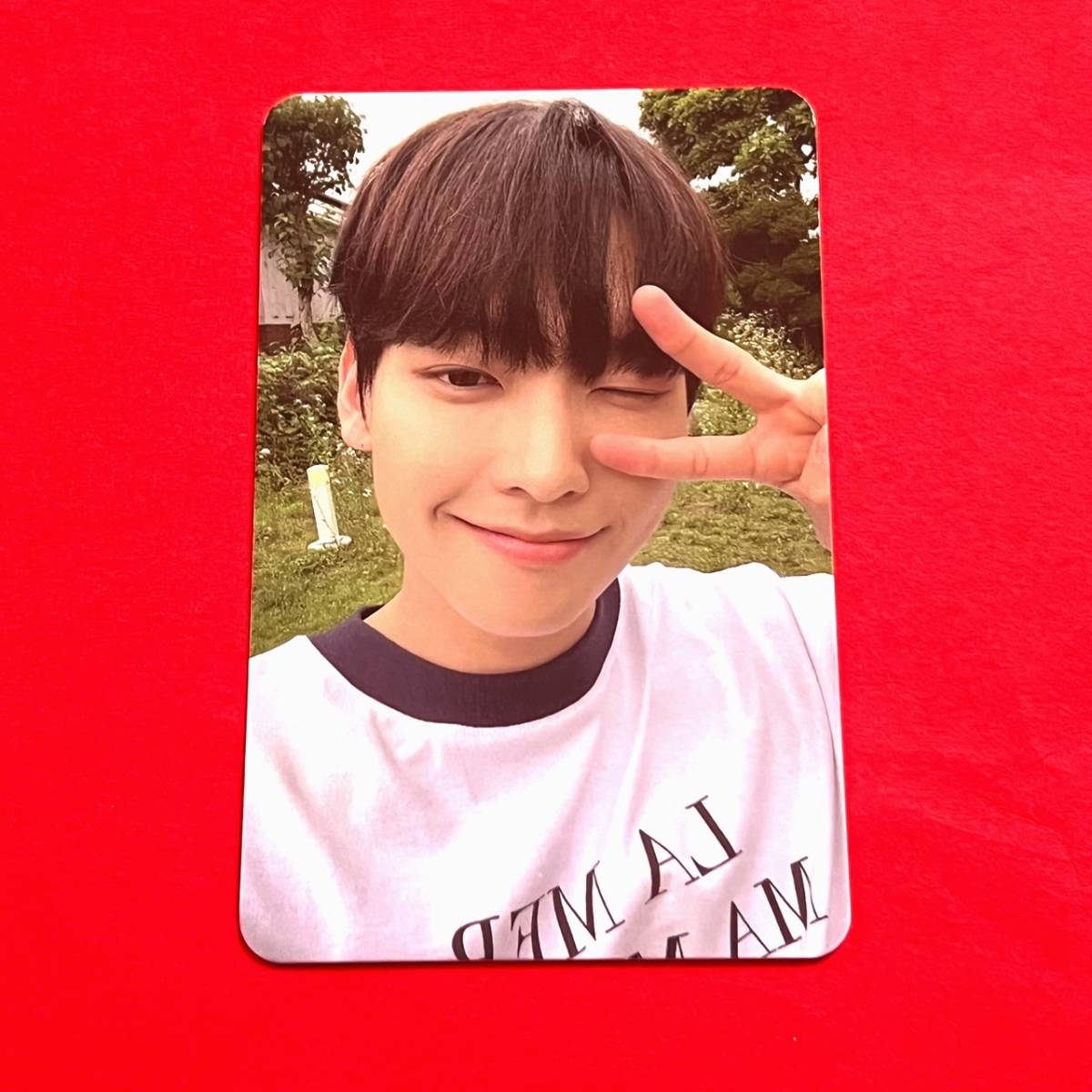 SF9 エスエフナイン FNC STORE COMMA PHOTO CARD A ver. フォトカード トレカ 1枚 INSEONG インソン ② 即決_画像1