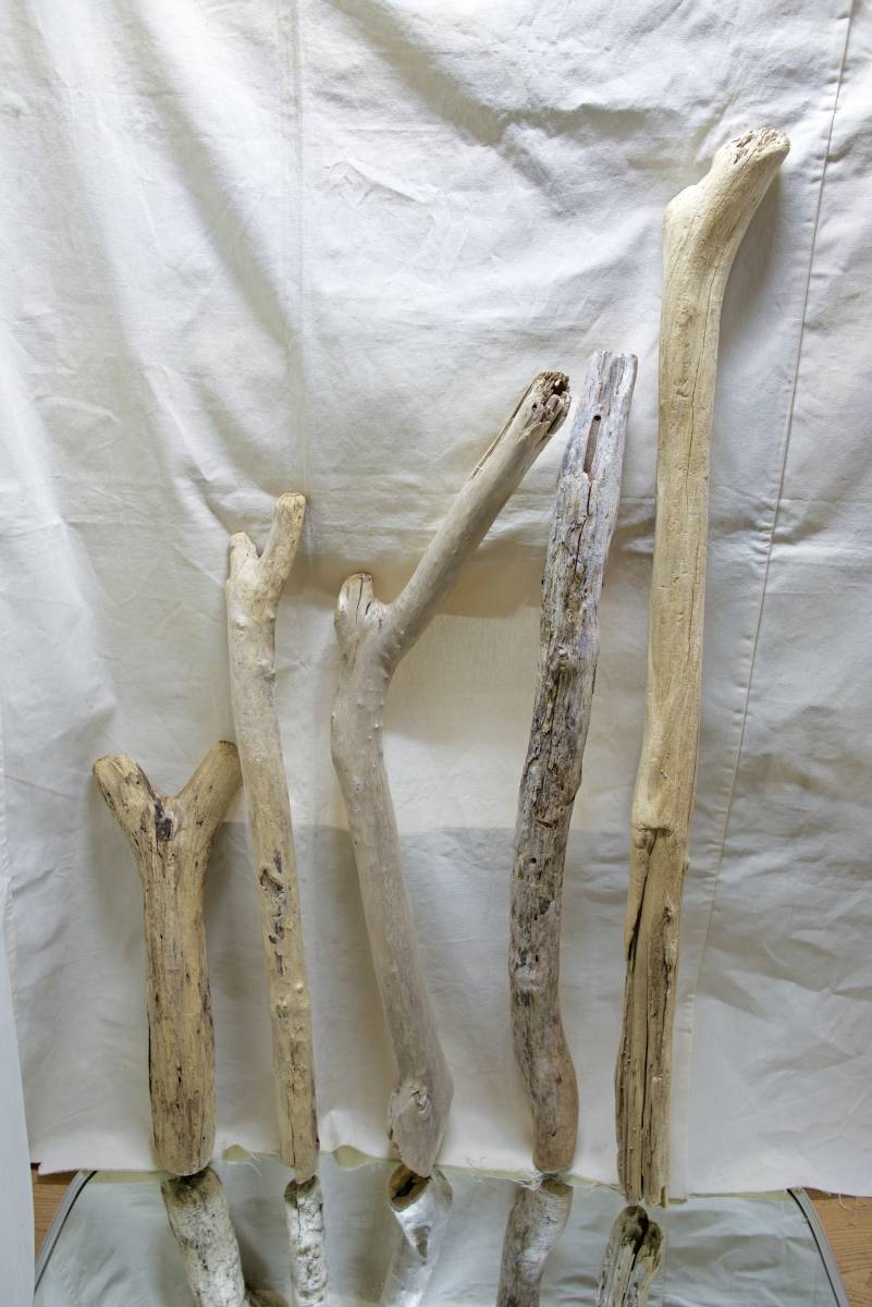 SEASIDEinterior* driftwood . interior objet d'art .,Cool driftwood for decorating 72