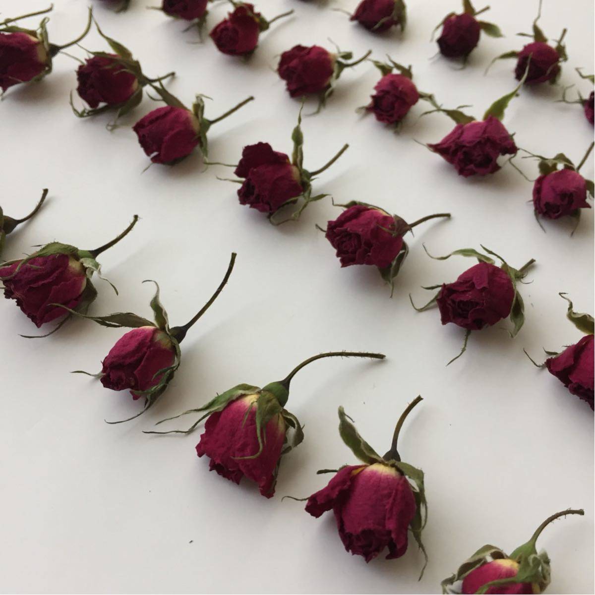 ドライフラワー 花材 ミニ 薔薇 赤 バラ 40個 インテリアにも リース 