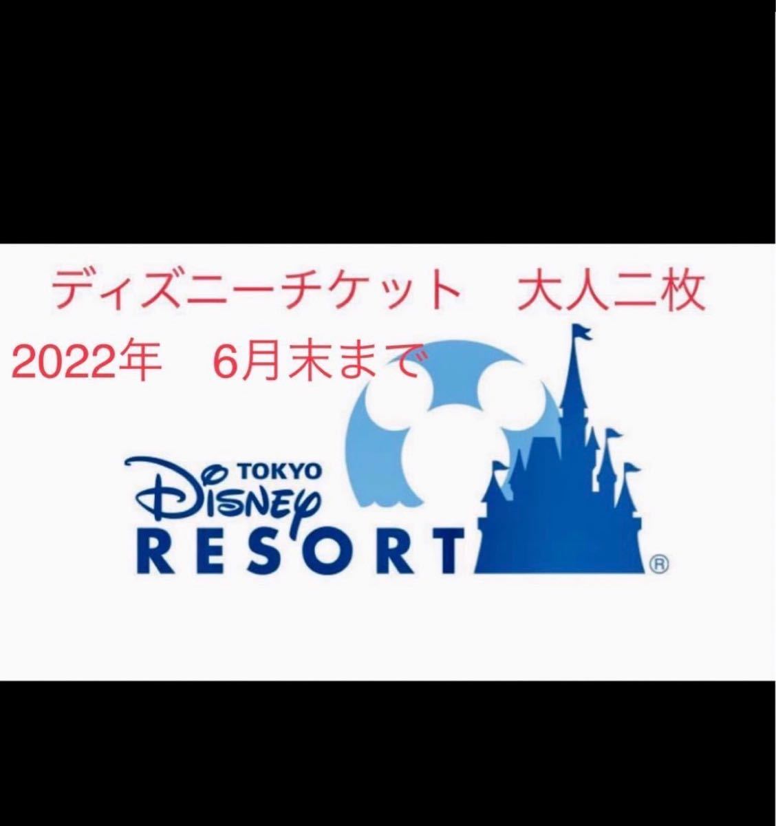 大特価特価 Disney - ディズニーチケット 大人2枚 の通販 by ヒショー