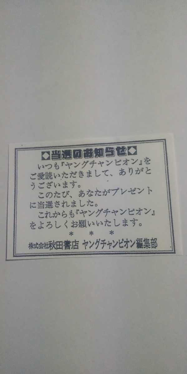レア 似鳥沙也加 抽プレ 直筆サイン チェキ 希少 当選品