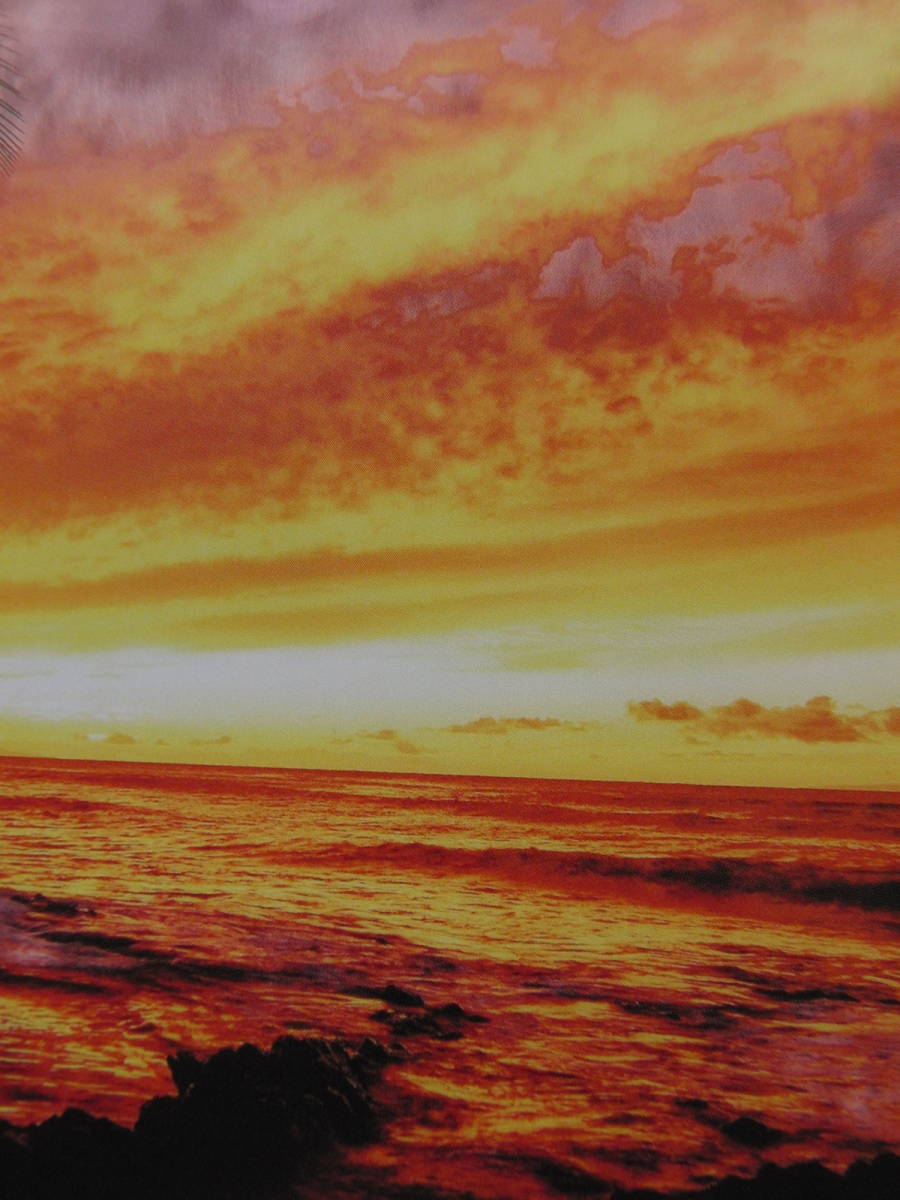 クリストファー・イーガン、【Lanai Sunset】、希少な額装用画集より Yahoo!オークション - クリストファー・イーガン 【Lanai Sunset