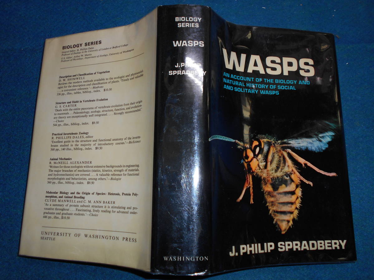 即決　昆虫学、Incect　1973年『スズメバチ　Wasps』ハチ目、膜翅目、社会性ハチ類、社会性昆虫、Social wasps_画像1