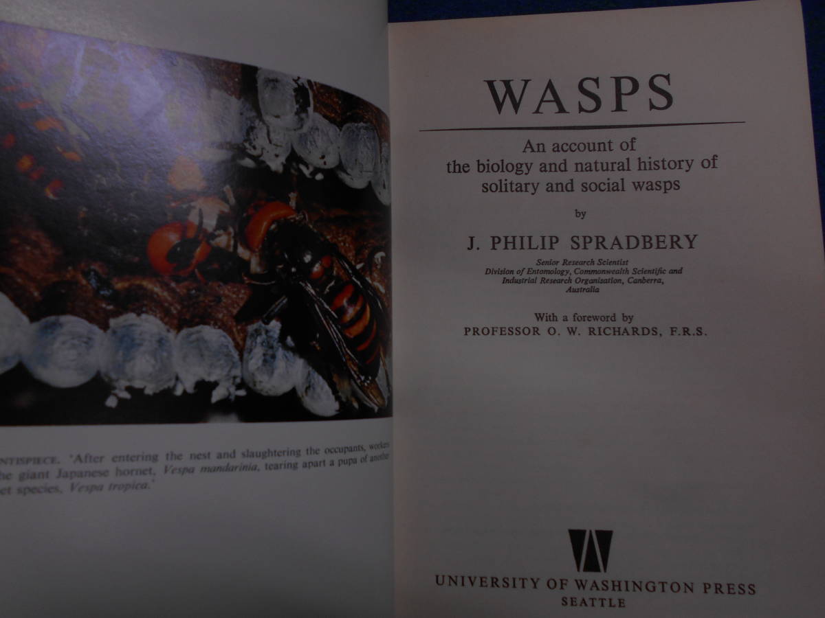 即決　昆虫学、Incect　1973年『スズメバチ　Wasps』ハチ目、膜翅目、社会性ハチ類、社会性昆虫、Social wasps_画像2