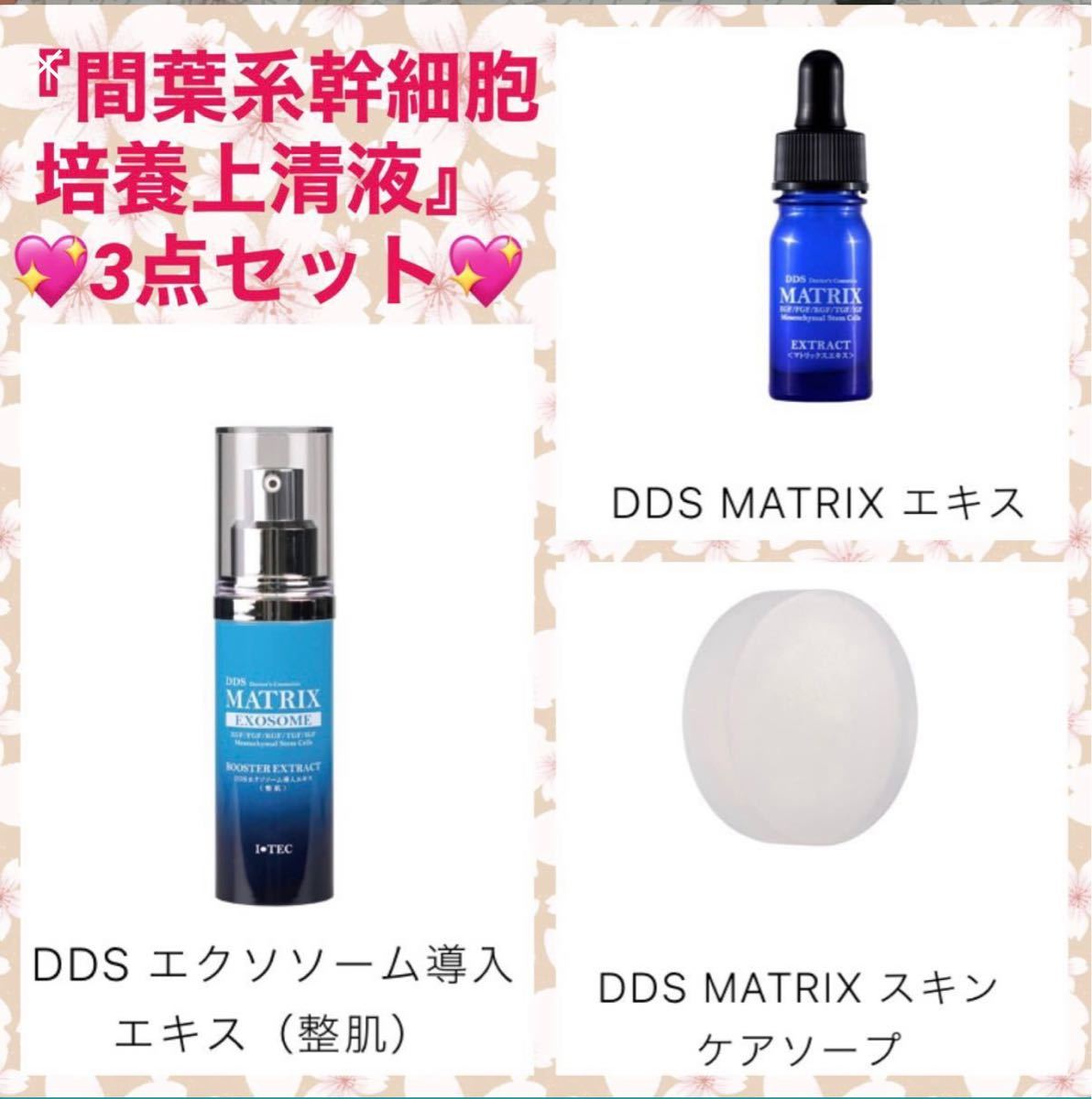 DDSエクソソーム導入エキス(整肌)30g - 基礎化粧品