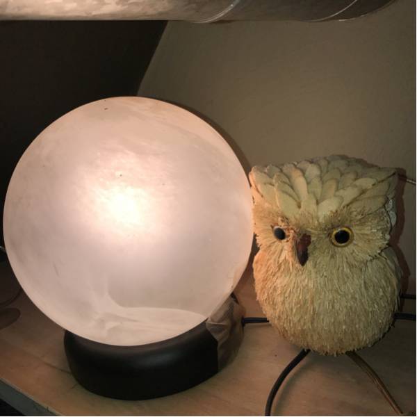  owl attaching floor stand floor light height approximately 22cm used bright store interior lighting .