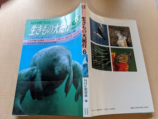 NHK地球ファミリー 生きもの大紀行〈第6巻〉/O4975/初版/NHK取材班 (編集)_画像2