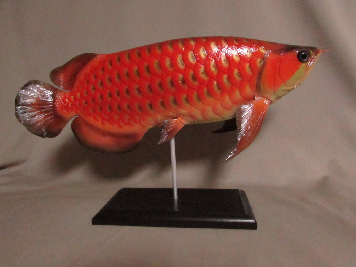 ○ハンドメイド 手作り 40cmアロワナ レッド 魚模型 フィギュア