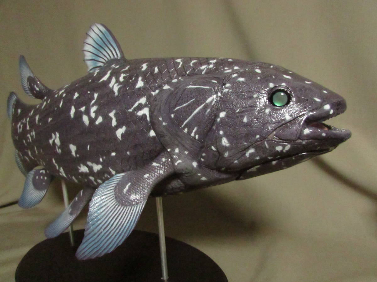●ハンドメイド 手作り ６１ｃｍシーラカンス 魚模型 フィギュア レプリカ オブジェ 古代魚 化石魚 怪魚 fish craft REAL