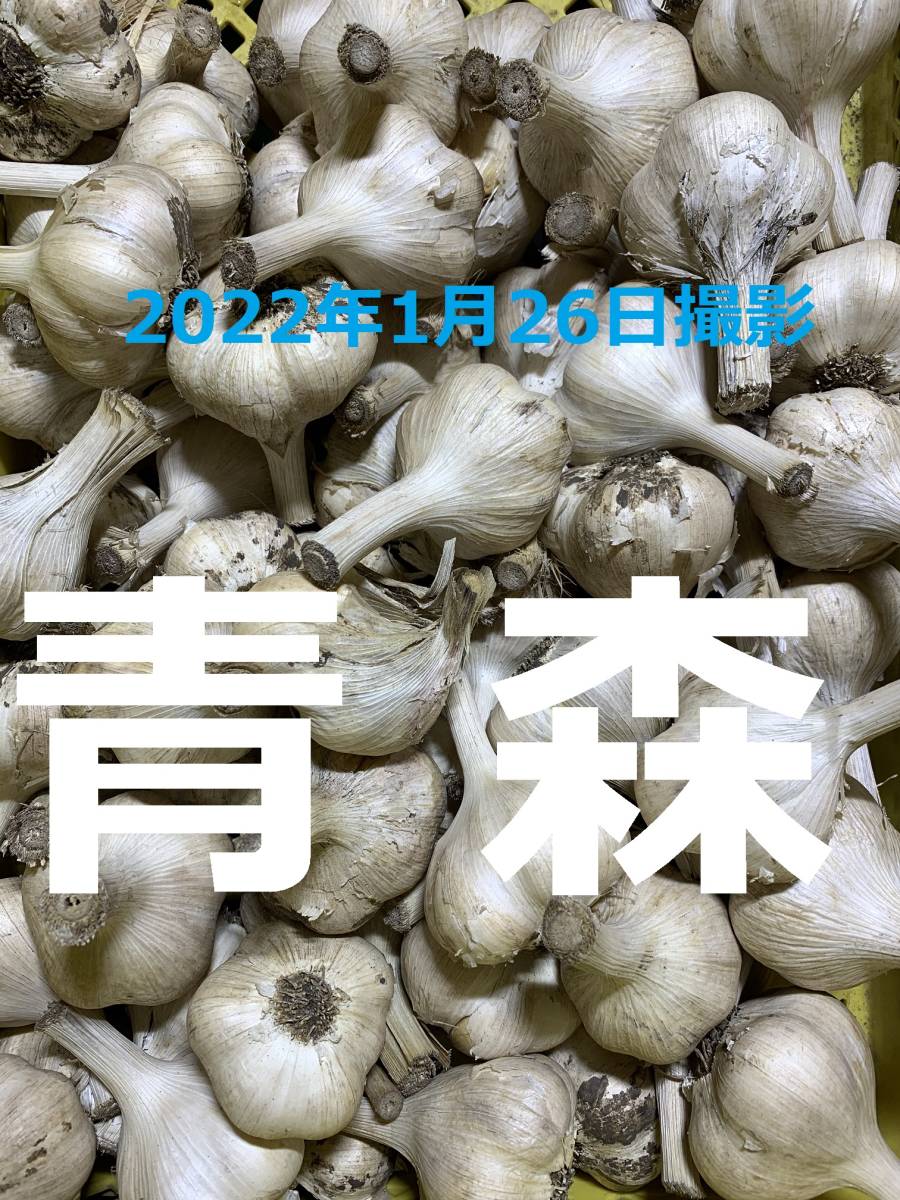 ヤフオク! - 青森県産にんにく10kg L ニンニク10キロ