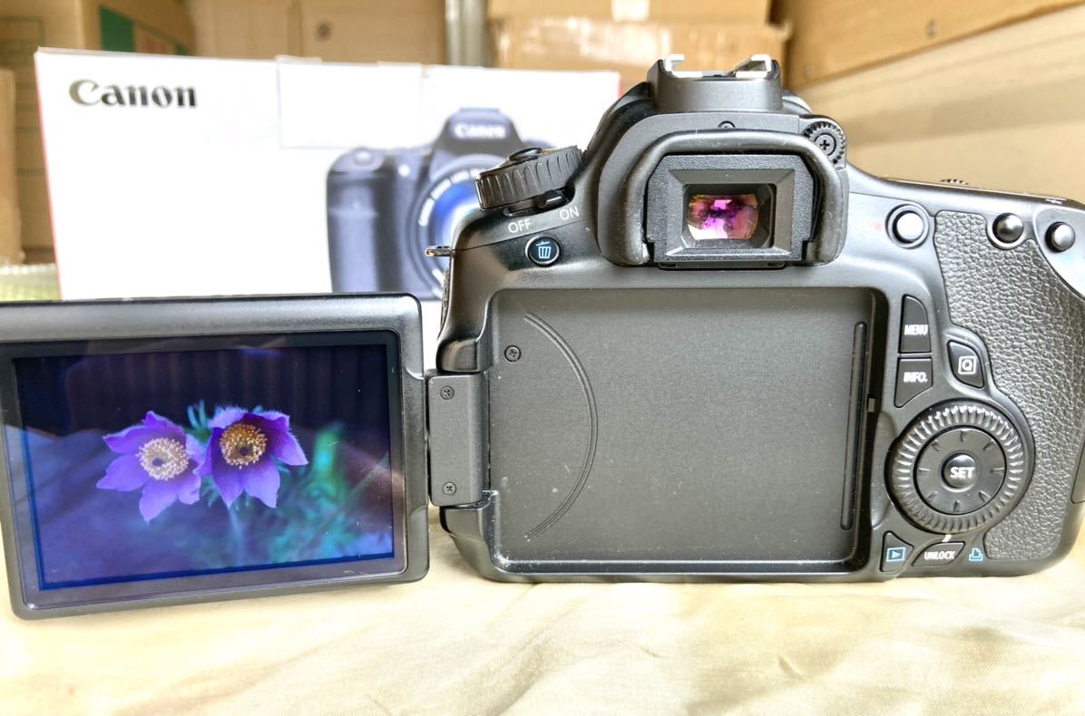 Canon EOS 60D ジャンク Canon EOS 60D ジャンク
