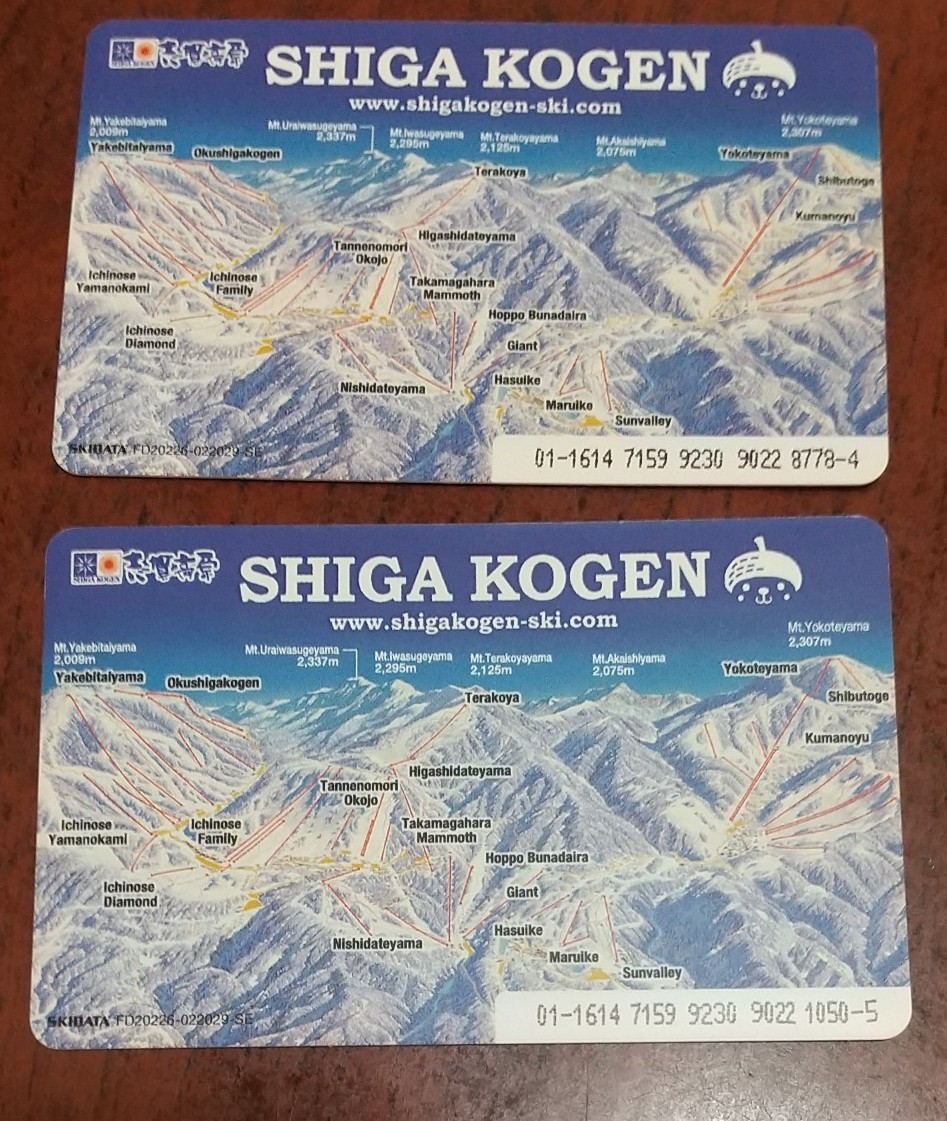 未使用】今シーズンのみ☆志賀高原スキー場 リフト券1日券 - スキー場