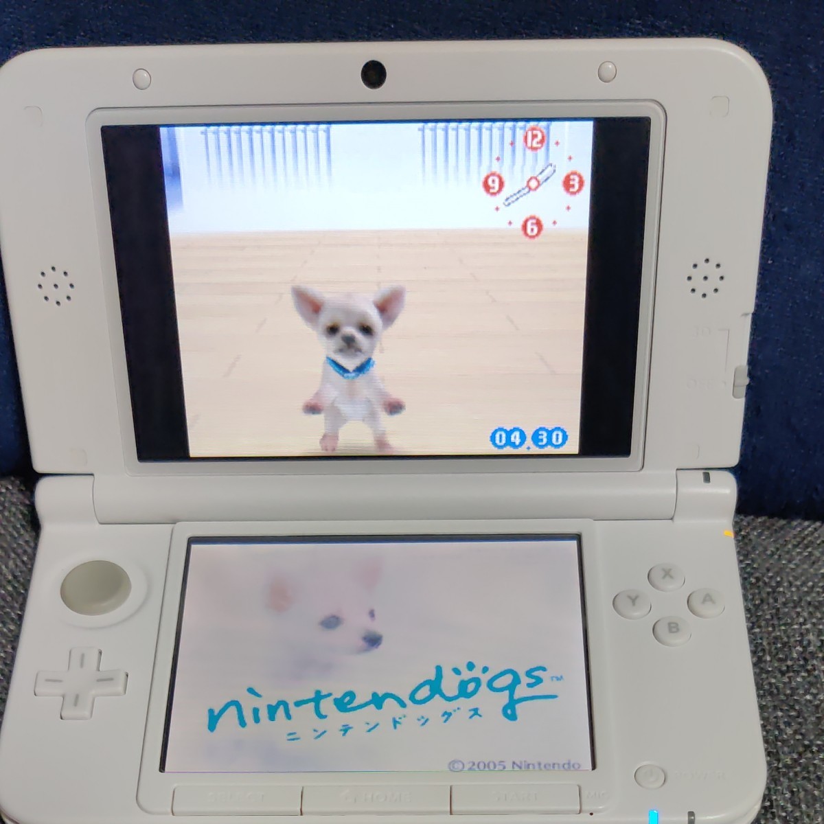 PayPayフリマ｜DS 3DS ソフト ニンテンドッグス+キャッツ nintendogs+cats 4本セット トイ・プードル フレンズ チワワ 柴