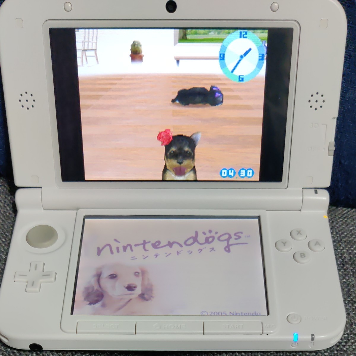 DS 3DS ソフト ニンテンドッグス+キャッツ nintendogs+cats　4本セット トイ・プードル フレンズ チワワ 柴