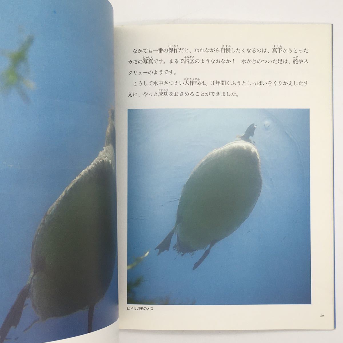 【たくさんのふしぎ】　128号「水中さつえい大作戦」　中川雄三　1995年11月号_画像3