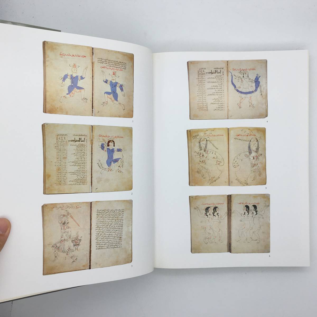 【美術史】The Topkap Saray Museum : The Albums and illustrated manuscripts　トプカプ宮殿の聖典　コーラン　宗教画　トルコ