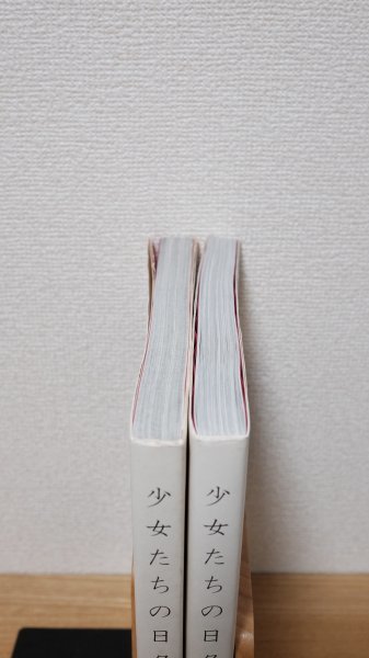 少女たちの日々へ ① ② 2冊セット青山静男 写真集 飛鳥新社