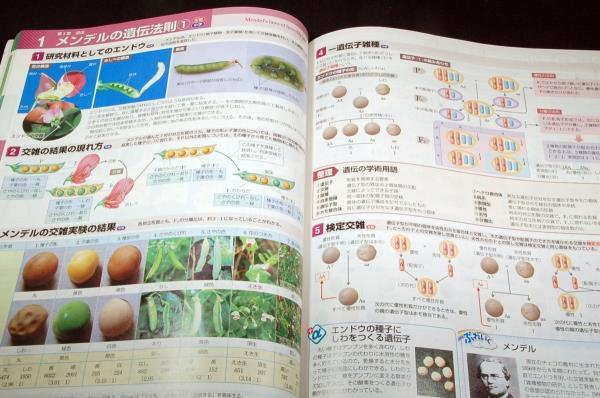 絶版□吉里勝利 監修【スクエア最新図説生物】新課程対応版□第 絶版□吉里勝利 監修【スクエア最新図説生物】新課程対応版□第