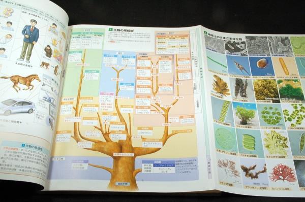 絶版□吉里勝利 監修【スクエア最新図説生物】新課程対応版□第 絶版□吉里勝利 監修【スクエア最新図説生物】新課程対応版□第