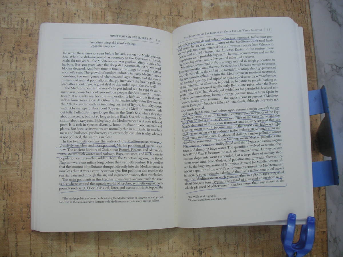 ∞　something New under the sun　John Robert McNeill、著　W W Norton & Co Inc、刊　●洋書、英文表記●大型本です、送料注意●_画像9