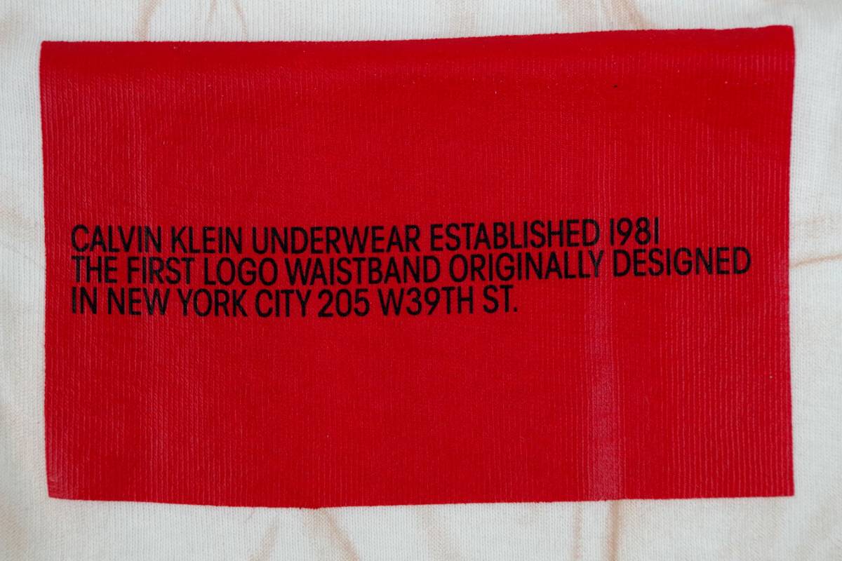  prompt decision * Calvin Klein Calvin Klein crew neck T-shirt ( Japan size L/ American size M)N66 new goods 