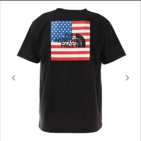 新品　ノースフェイス Mサイズ　半袖Tシャツ ロゴTシャツ THE NORTH FACE メンズ　アメリカ　国旗