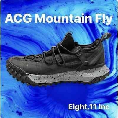 新品 Men’s サイズ28cm(US10) ナイキ ACG Mountain Fly Low ブラック Hiking Shoes DD4565-001 海外 即決