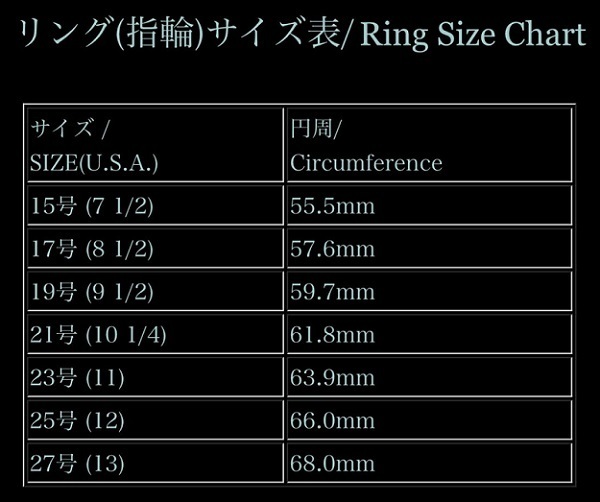 シルバーリング メンズ シルバー925 指輪 シルバーアクセサリー フレア ユリの紋章　23号_画像9