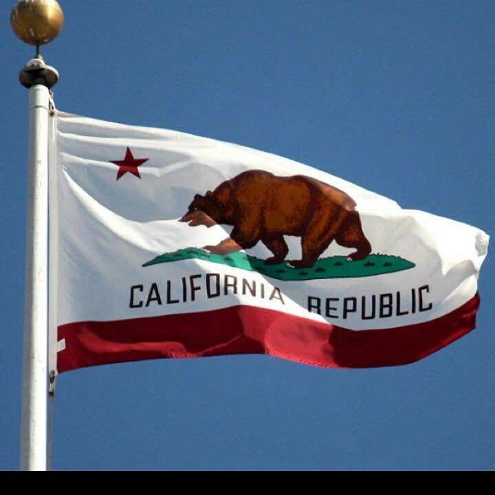 新品 California カリフォルニア ビッグフラッグ 150cmX90 カリフォルニア州旗 大型フラッグ タペストリー ガレージ インテリア_画像1